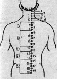 Зона поясницы. Зоны массажа спины. Паравертебральная область спины. Массаж паравертебральной зоны спины. Точечный массаж спины.