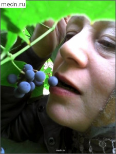 Солнца луч таится в грозди виноградной