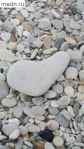 морской камень