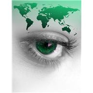 Глаукома ( происходит от греческого слова «глаукос», что означает «зеленый» ) - это заболевание, которое является наиболее частой причиной  Фото 1