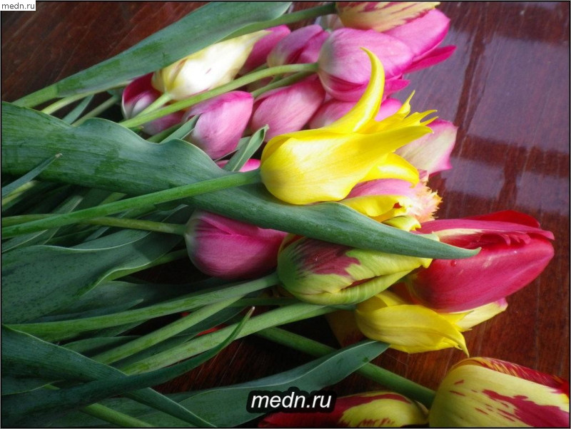 Тюльпаны на столе