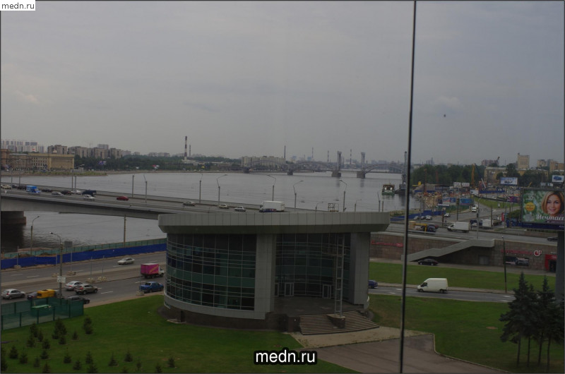 Вид на мост Александра Невского