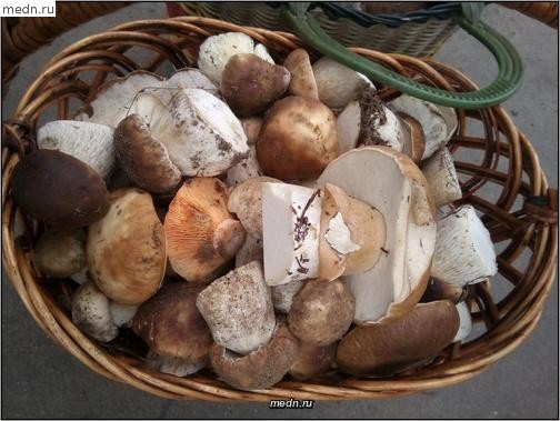 Корзина белых грибов