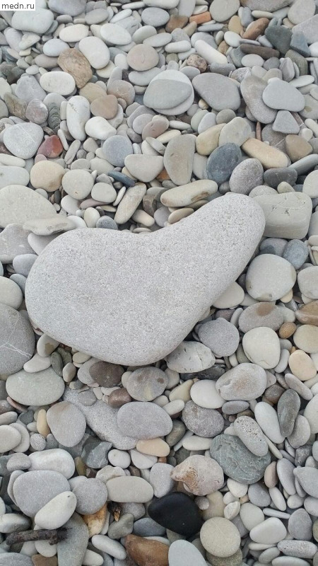 морской камень