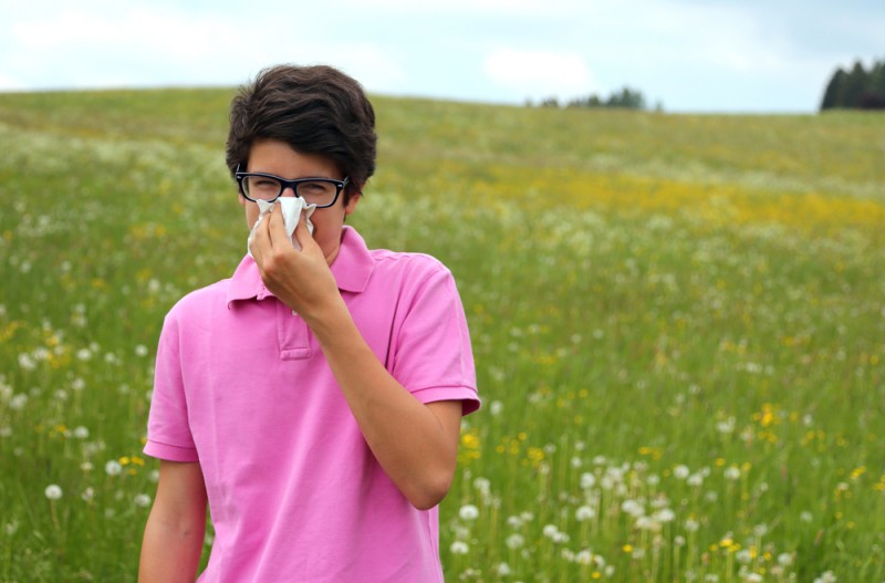 аллергия на растения