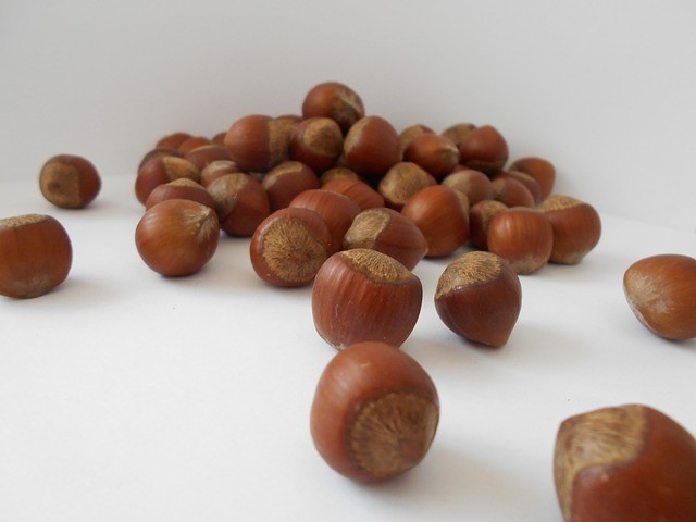 Лесные орехи польза и вред для организма человека thumbnail