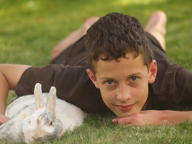 мальчик с кроликом